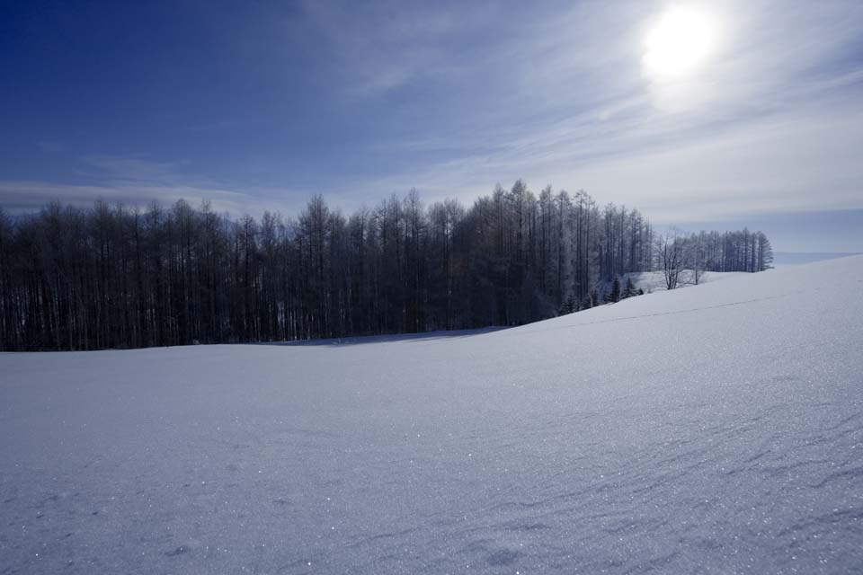 Foto, materieel, vrij, landschap, schilderstuk, bevoorraden foto,Een snowy veld, Blauwe lucht, Het is besneeuwd, Besneeuwd veld, De zon