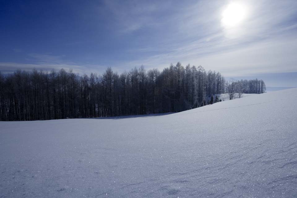 photo,material,free,landscape,picture,stock photo,Creative Commons,A snowy field, blue sky, It is snowy, snowy field, The sun