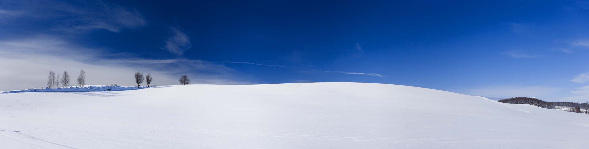 Foto, materieel, vrij, landschap, schilderstuk, bevoorraden foto,Een snowy veld, Besneeuwd veld, Berg, Boom, Blauwe lucht