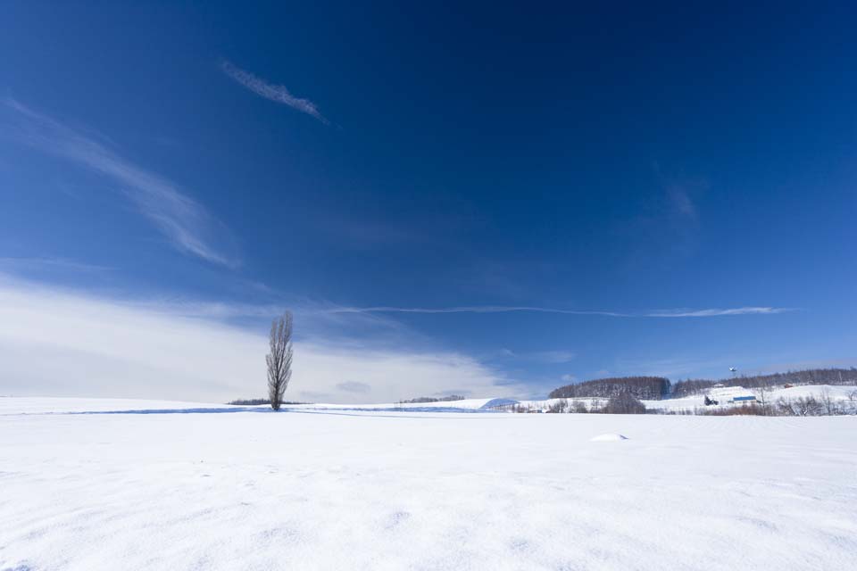 Foto, materiell, befreit, Landschaft, Bild, hat Foto auf Lager,Ein schneebedecktes Feld, schneebedecktes Feld, Berg, Baum, blauer Himmel