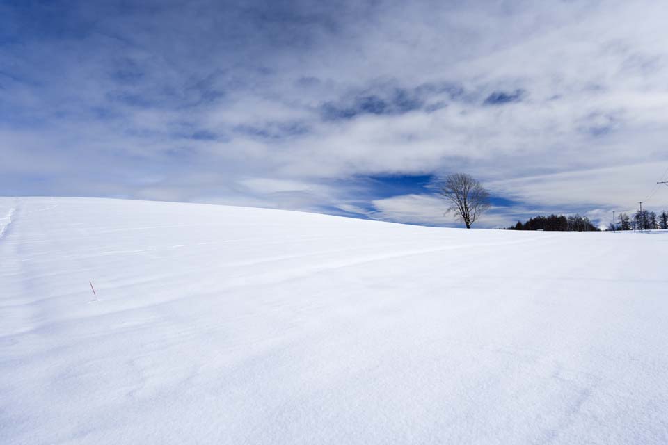 Foto, materiell, befreit, Landschaft, Bild, hat Foto auf Lager,Ein schneebedecktes Feld, schneebedecktes Feld, Berg, Baum, blauer Himmel