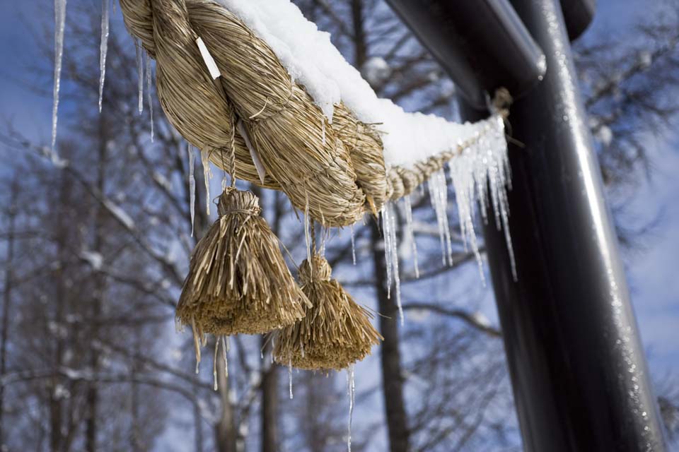 photo,material,free,landscape,picture,stock photo,Creative Commons,Is numb || occupy it, and is a rope, icicle, Shinto straw festoon, It is snowy, torii