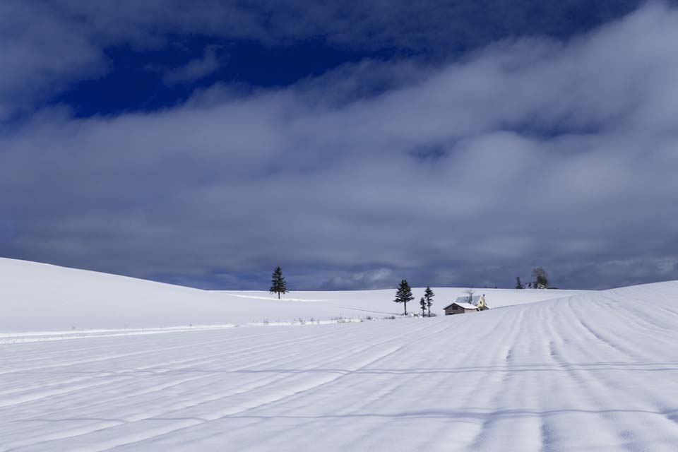 Foto, materieel, vrij, landschap, schilderstuk, bevoorraden foto,Een klein huis van een snowy veld, Besneeuwd veld, Wolk, Huis, Blauwe lucht