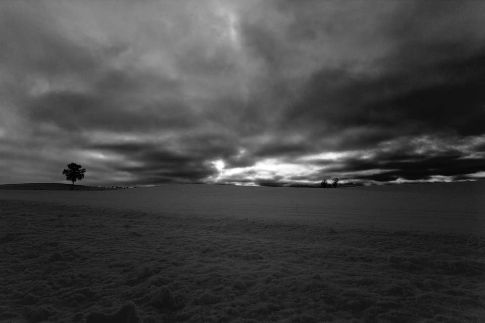 photo,material,free,landscape,picture,stock photo,Creative Commons,It is a cloud in a snowy field, snowy field, cloud, tree, tree of parent and child