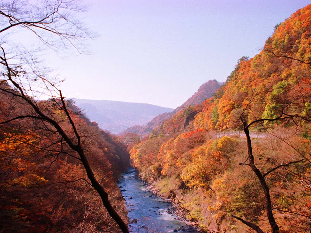 ゆんフリー写真素材集 No 328 秋の吾妻渓谷 日本 群馬