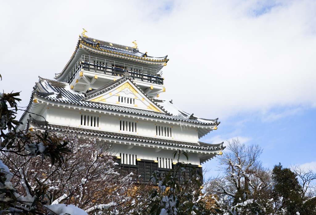 fotografia, materiale, libero il panorama, dipinga, fotografia di scorta,Gifu arrocca, Ishigaki, cielo blu, castello, Bianco