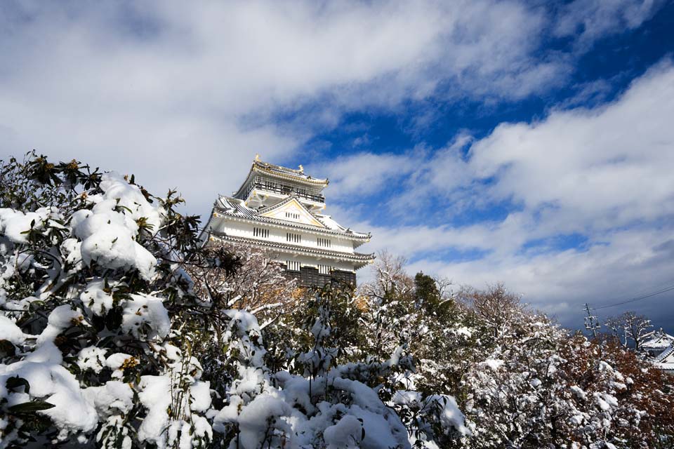 fotografia, materiale, libero il panorama, dipinga, fotografia di scorta,Gifu arrocca, Ishigaki, cielo blu, castello, Bianco
