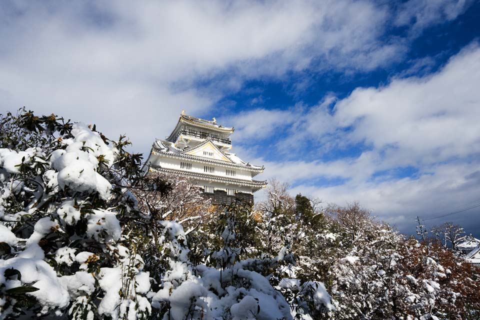 Foto, materiell, befreit, Landschaft, Bild, hat Foto auf Lager,Gifu-Burg, Ishigaki, blauer Himmel, Burg, Wei