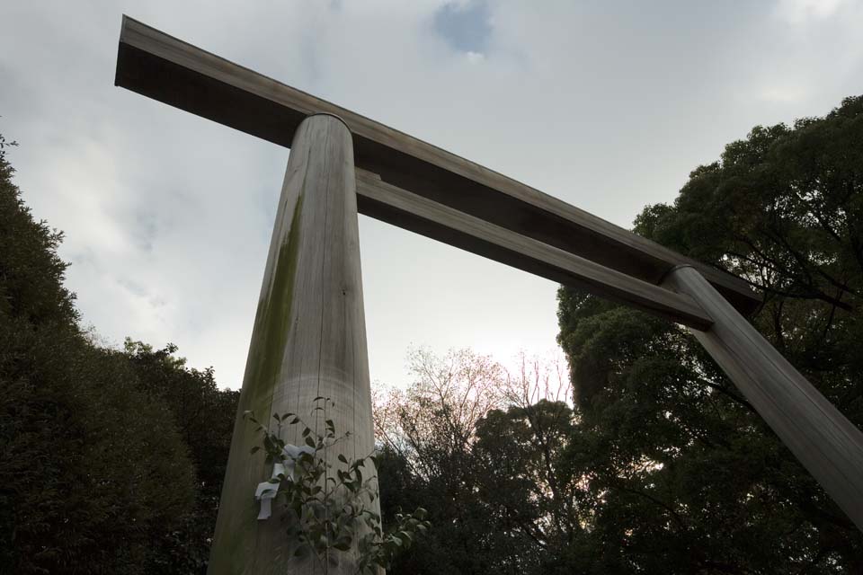 Foto, materieel, vrij, landschap, schilderstuk, bevoorraden foto,Atsuta-jingu Heiligdom torii, Shinto heiligdom, Torii, De poort, Godsdienst