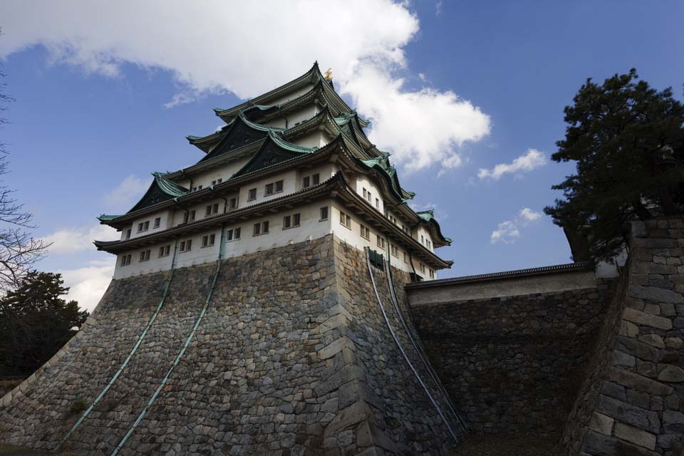 foto,tela,gratis,paisaje,fotografa,idea,Nagoya - Castle de jo, Lucio de orca, Castillo, La torre de castillo, 