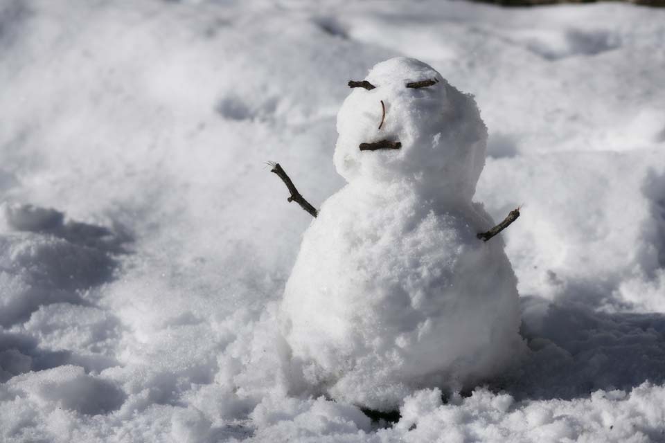 Foto, materieel, vrij, landschap, schilderstuk, bevoorraden foto,Blijheid van een sneeuwpop, Sneeuwpop, , Yuki Dharma pop, Besneeuwd veld