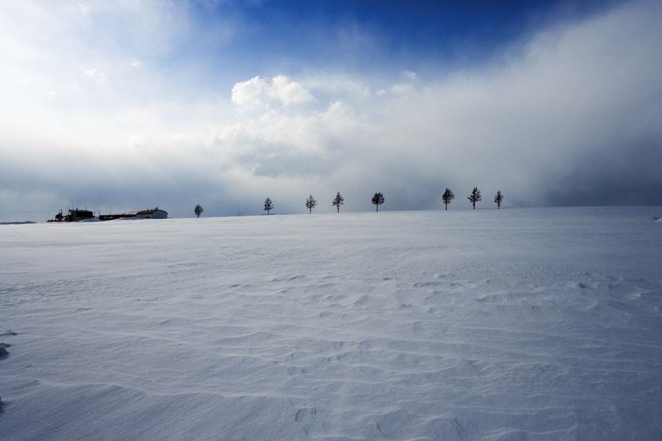 Foto, materieel, vrij, landschap, schilderstuk, bevoorraden foto,Een heuvel van een sprookje, Boom, Besneeuwd veld, Blauwe lucht, Wolk