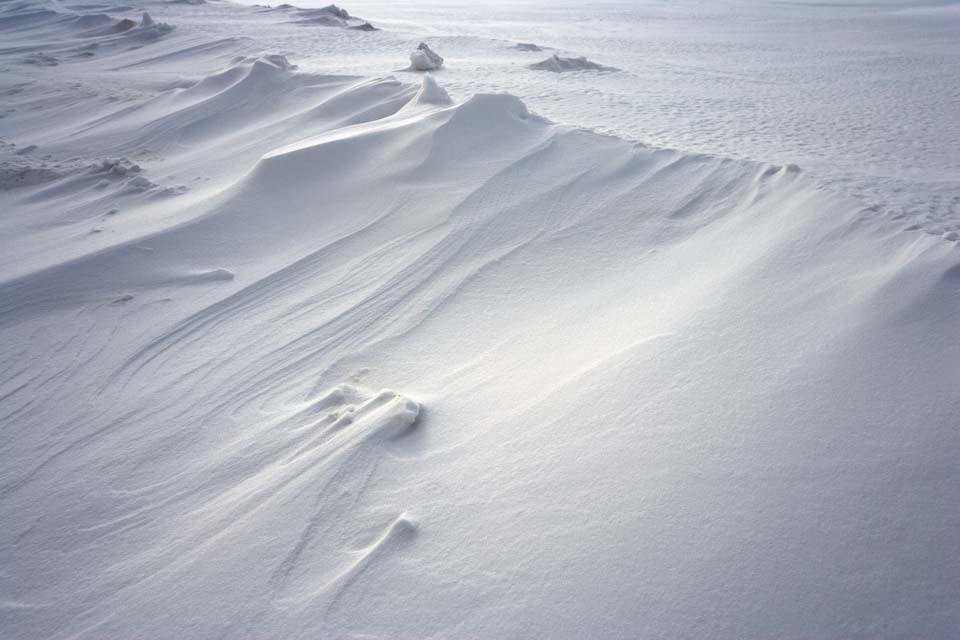 fotografia, material, livra, ajardine, imagine, proveja fotografia,Um padro vento-forjado nevado nas areias, padro vento-forjado nas areias, campo nevado, Vento, 