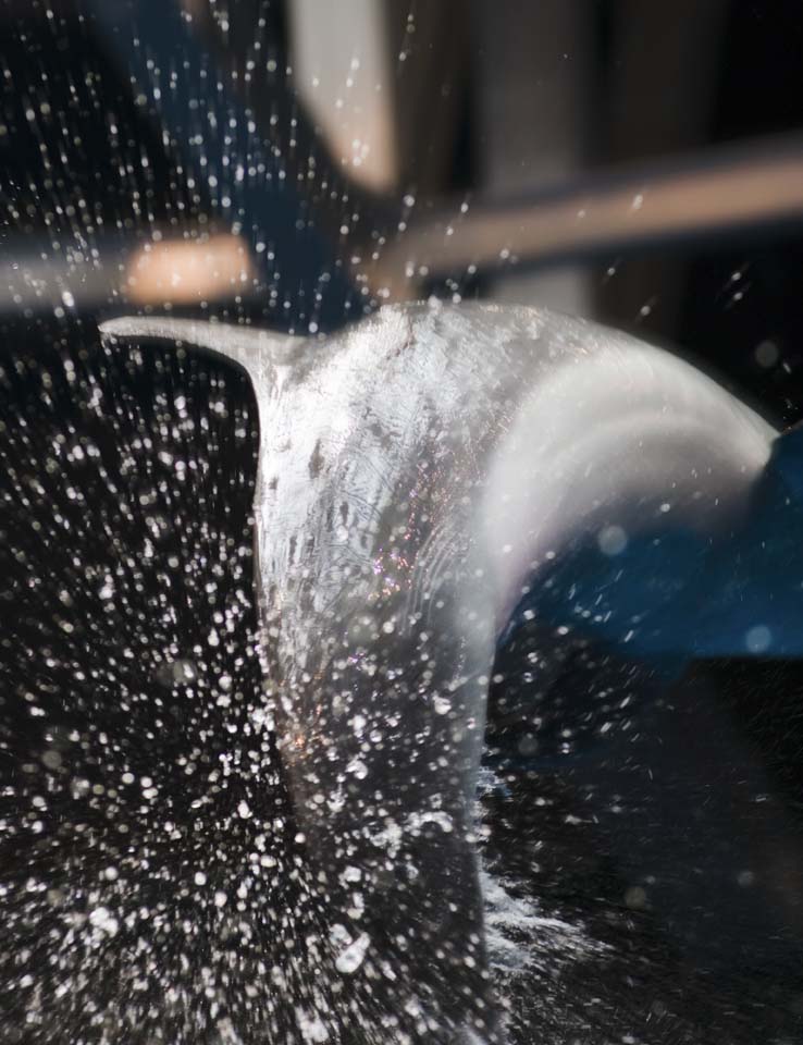 fotografia, materiale, libero il panorama, dipinga, fotografia di scorta,Un delfino che schizza, delfino, , , salto