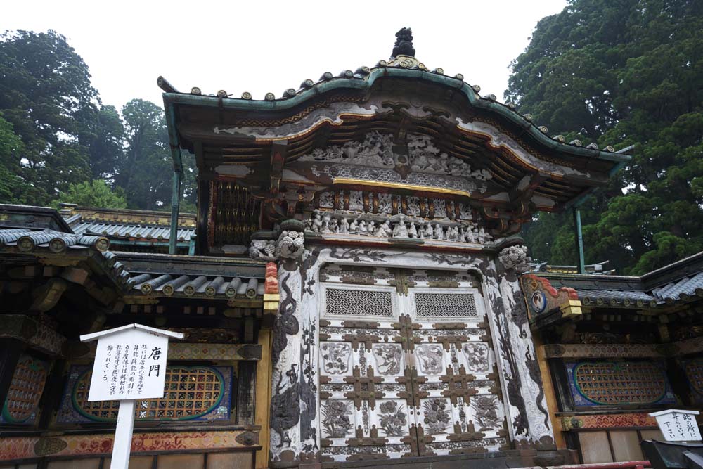 photo,material,free,landscape,picture,stock photo,Creative Commons,A Chinese-style gate of Tosho-gu Shrine, Chinese-style gate, world heritage, sculpture, JAL