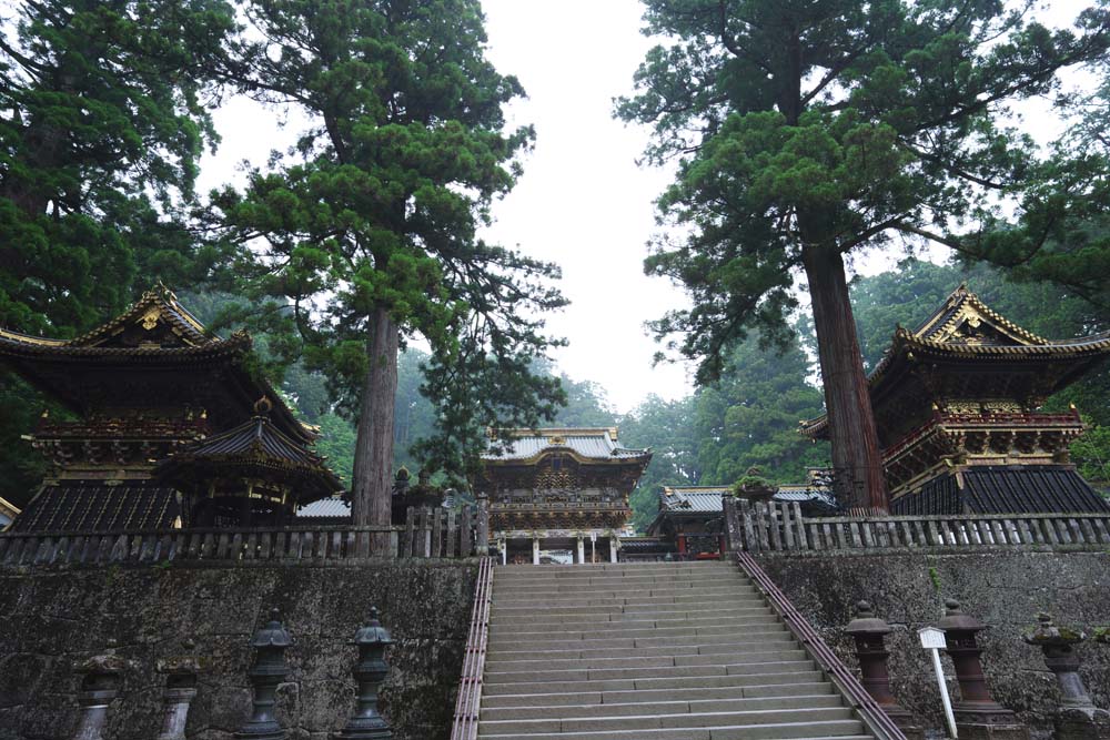 photo, la matire, libre, amnage, dcrivez, photo de la rserve,Le Tosho-gu Temple porte lgre positive, La porte lgre positive, patrimoine de l'humanit, sculpture, Je suis luxueux