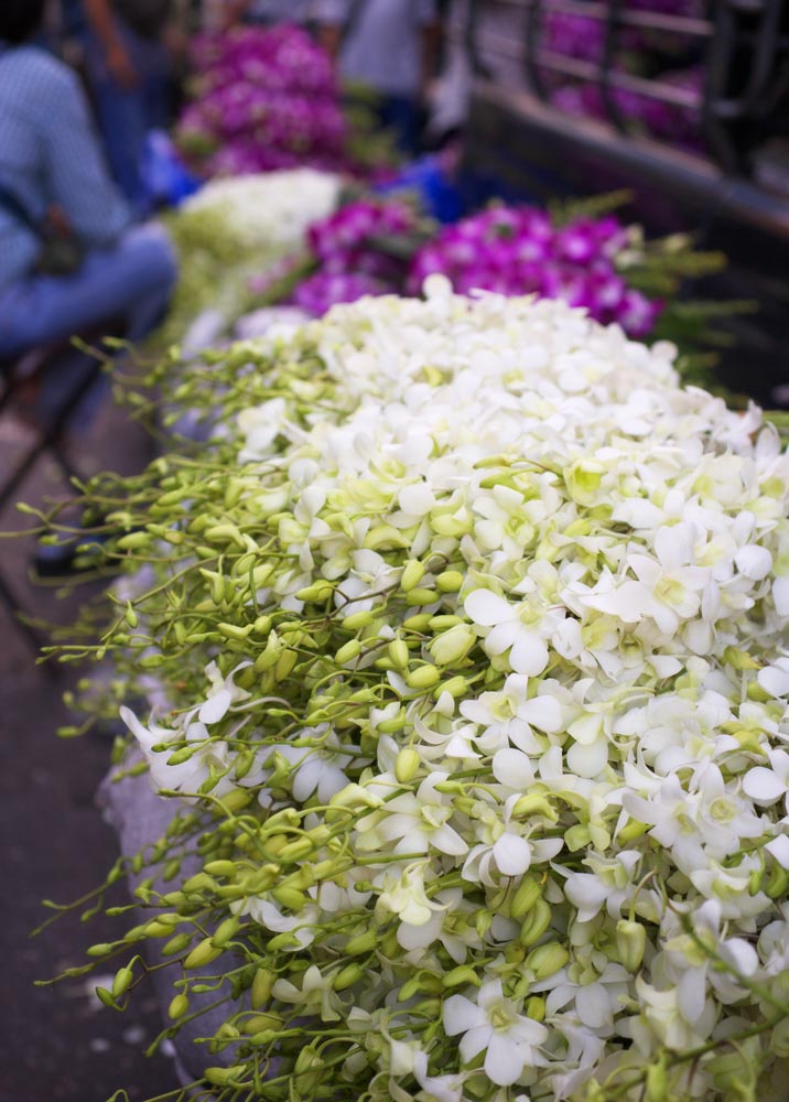 fotografia, materiale, libero il panorama, dipinga, fotografia di scorta,Un'orchidea, , Un'orchidea, , mercato