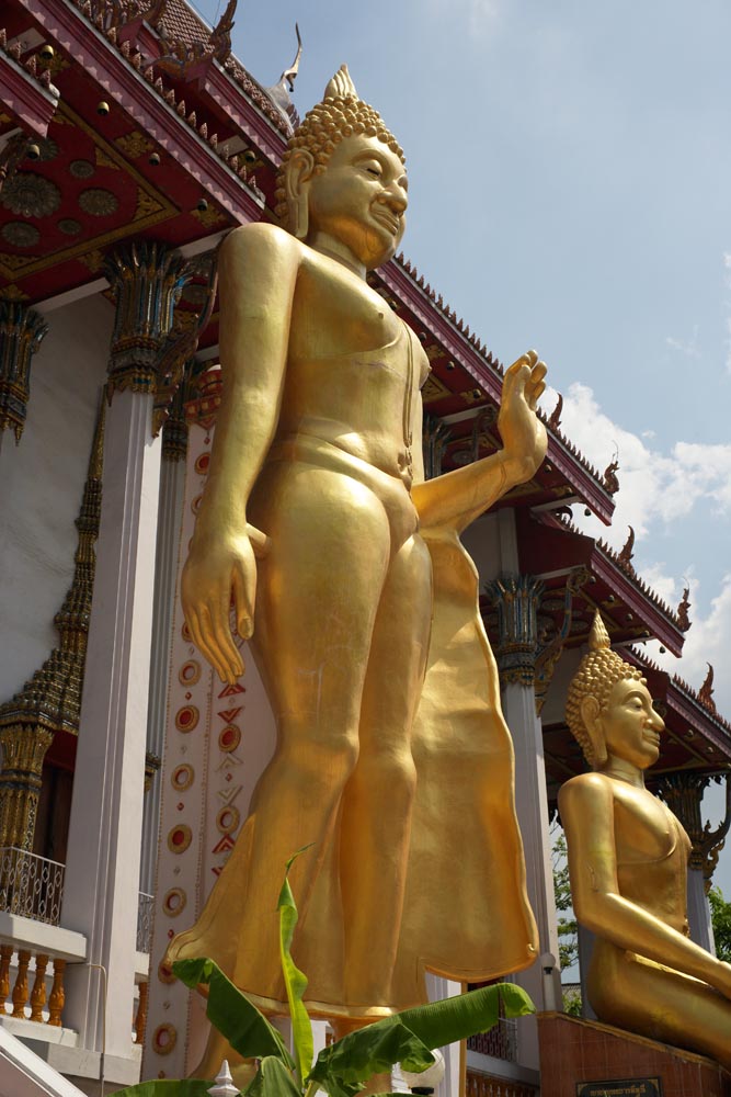 fotografia, materiale, libero il panorama, dipinga, fotografia di scorta,Budda fortunato, tempio, Immagine buddista, Oro, Bangkok