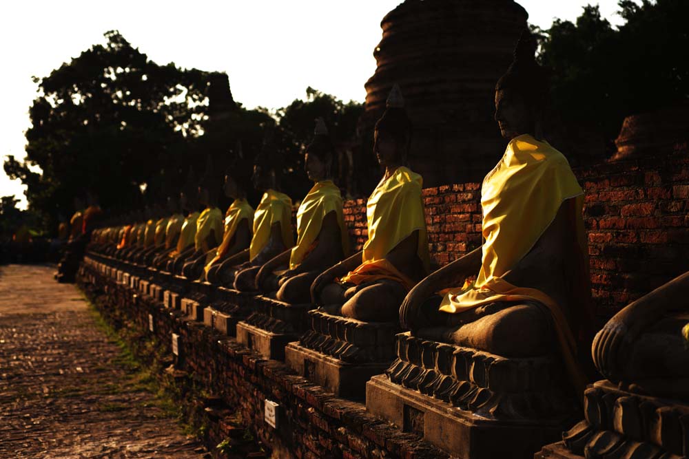 fotografia, materiale, libero il panorama, dipinga, fotografia di scorta,Un'immagine buddista di Ayutthaya, Immagine buddista, Budda, pagoda, Ayutthaya rimane