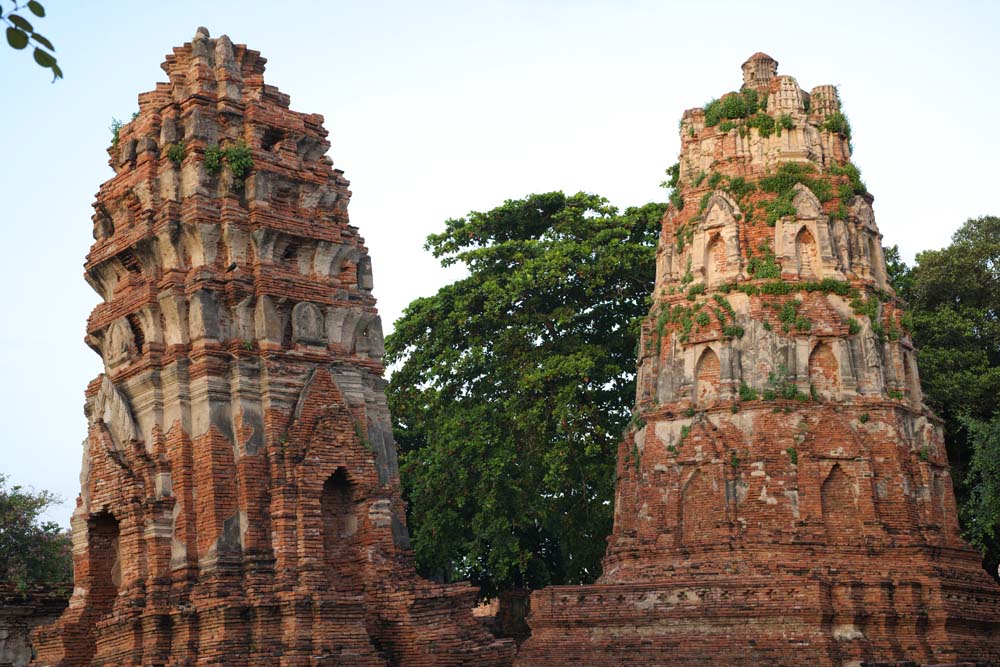 photo,material,free,landscape,picture,stock photo,Creative Commons,Wat Phra Mahathat, World's cultural heritage, Buddhism, pagoda, Ayutthaya remains