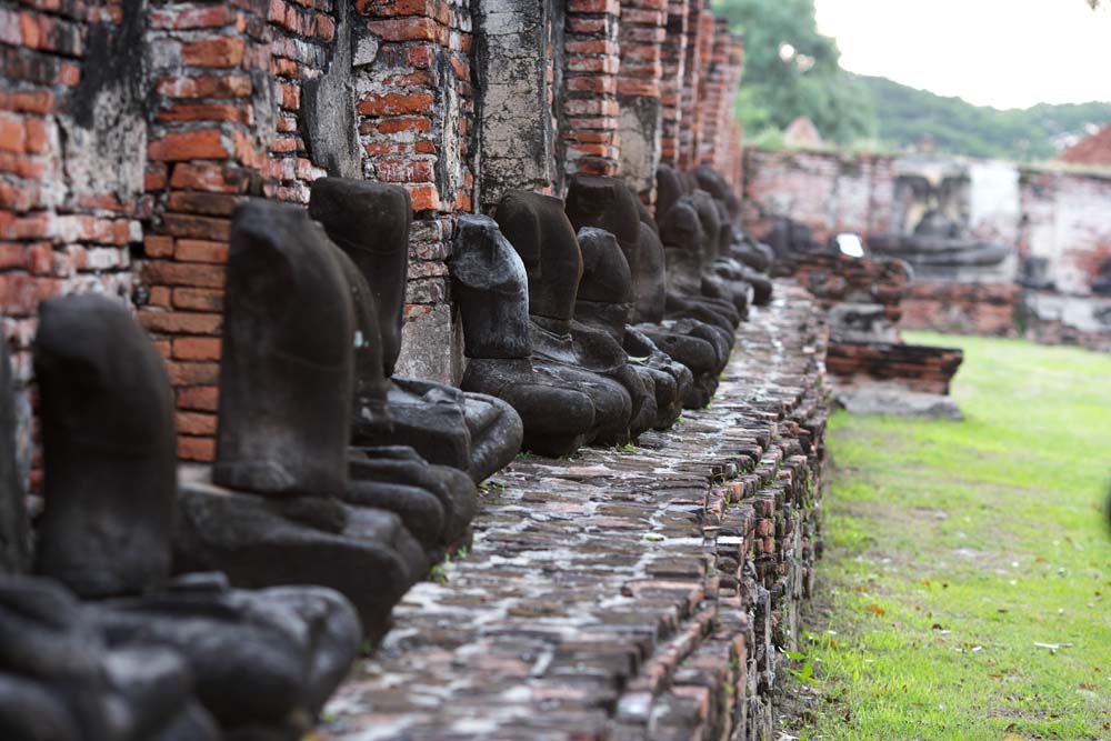 foto,tela,gratis,paisaje,fotografa,idea,Wat Phra Mahathat, La herencia cultural de mundo, Buddhism, Idea Buddhist, Sobras de Ayutthaya