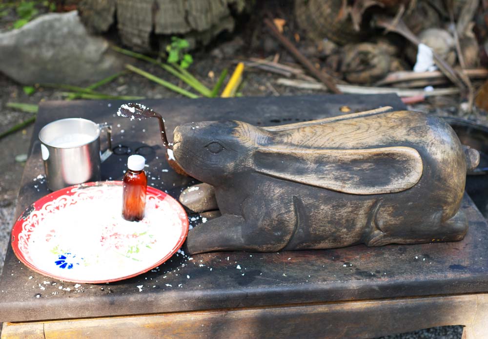 photo,material,free,landscape,picture,stock photo,Creative Commons,A tool for coconut cut, Food, palm, Lasi, coconut