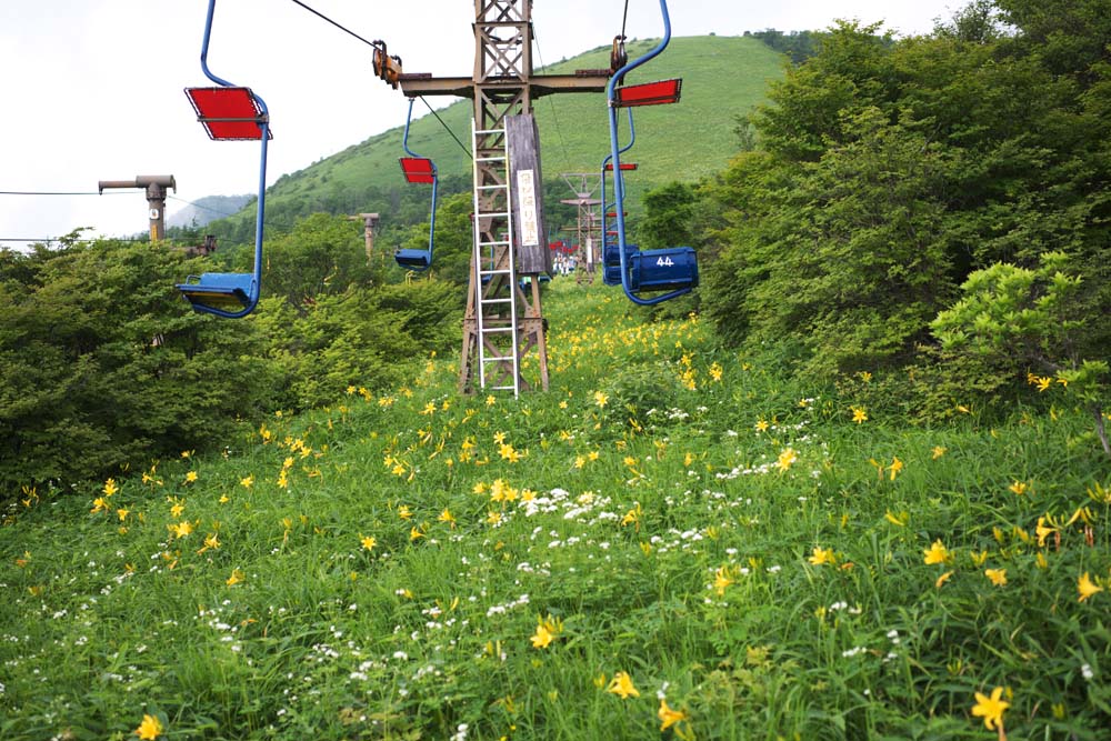 fotografia, material, livra, ajardine, imagine, proveja fotografia,Um ski lift em planalto de Kisuge, ski lift, Eu sou semelhante e uma criana est isolada e fixa isto, lrio de dia, Nikko