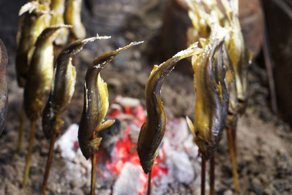 Foto, materiell, befreit, Landschaft, Bild, hat Foto auf Lager,Kohle, die ein Feuer von einem sweetfish anzndet, sweetfish, , , lieber Fisch