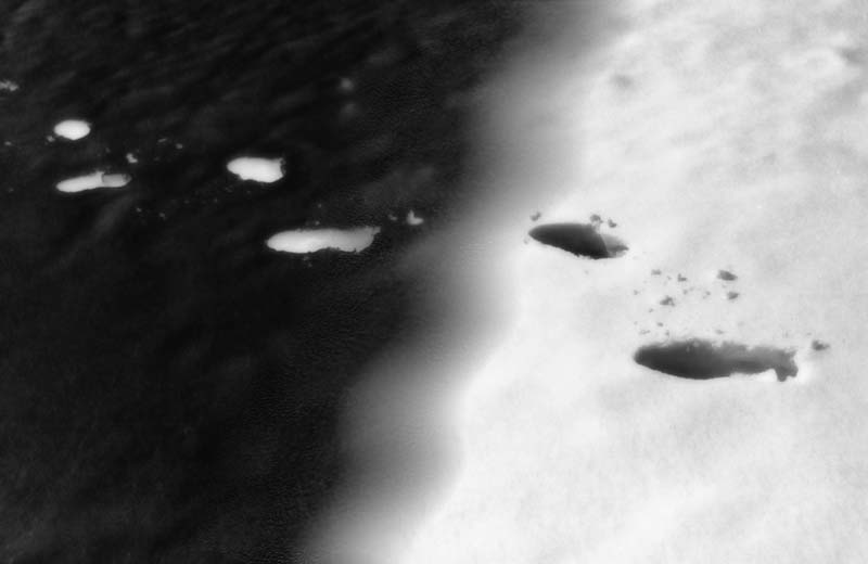 photo,material,free,landscape,picture,stock photo,Creative Commons,Footprints on snow, snow, footprint, black and white, 