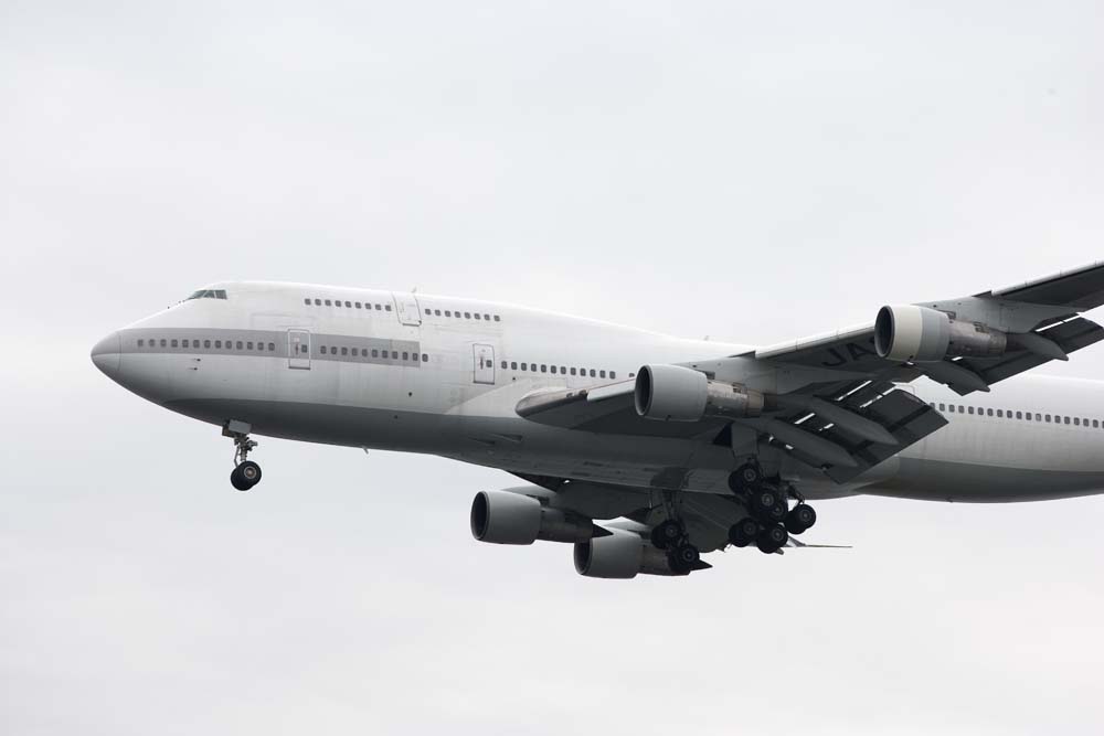 photo, la matire, libre, amnage, dcrivez, photo de la rserve,Un atterrissage d'un jumbo-jet, avion du passager, Un avion, jumbo-jet, avion