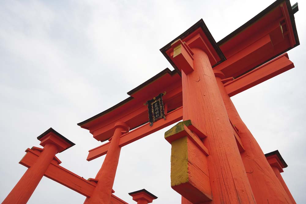 ,,, ,,,Otorii Itsukushima-jinja   ,   ., Otorii.,   .  ,   cinnabar  