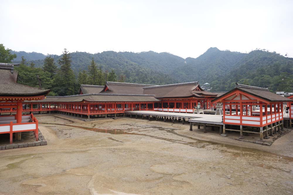 fotografia, materiale, libero il panorama, dipinga, fotografia di scorta,Un sacrario principale di Sacrario di Itsukushima-jinja, L'eredit culturale di Mondo, sacrario principale, Sacrario scintoista, Io sono cinabro rosso