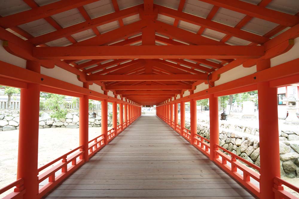 Foto, materiell, befreit, Landschaft, Bild, hat Foto auf Lager,Ein Korridor von Itsukushima-jinja Shrine, Das kulturelle Erbe von Welt, Otorii, Schintoistischer Schrein, Ich bin Zinnober rot