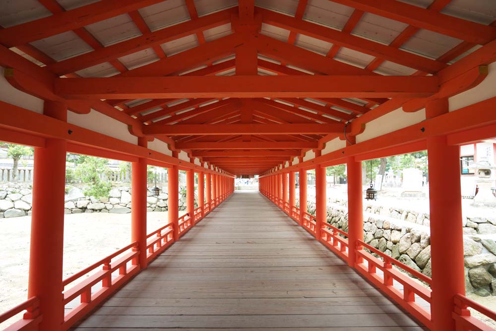 photo,material,free,landscape,picture,stock photo,Creative Commons,A corridor of Itsukushima-jinja Shrine, World's cultural heritage, Otorii, Shinto shrine, I am cinnabar red