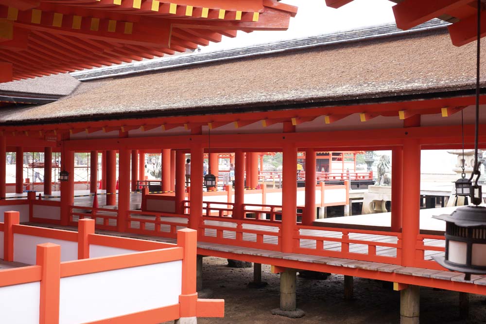 Foto, materieel, vrij, landschap, schilderstuk, bevoorraden foto,Een corridor van Itsukushima-jinja Heiligdom, Wereldwijd cultureel heritage, Otorii, Shinto heiligdom, Ik ben cinnabar rood