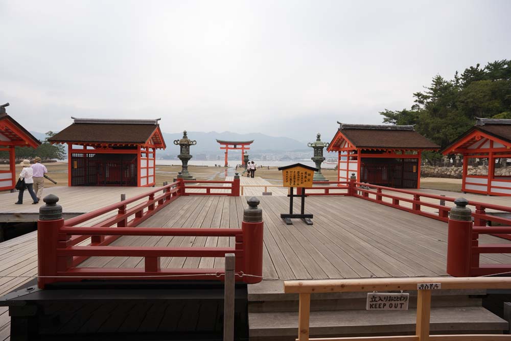 Foto, materiell, befreit, Landschaft, Bild, hat Foto auf Lager,Die hohe Phase von Itsukushima-jinja Shrine, Das kulturelle Erbe von Welt, Hauptschrein, Schintoistischer Schrein, Ich bin Zinnober rot