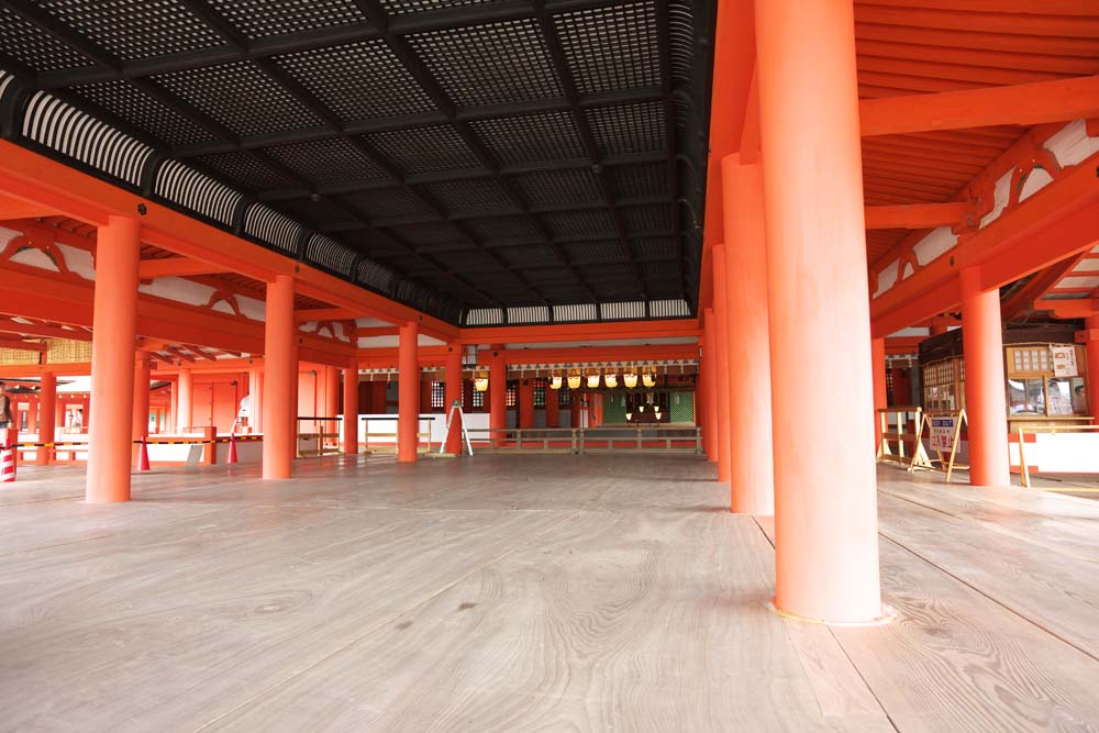 photo, la matire, libre, amnage, dcrivez, photo de la rserve,Un temple principal de Temple Itsukushima-jinja, L'hritage culturel de Monde, temple principal, Temple shintoste, Je suis rouge du cinabre