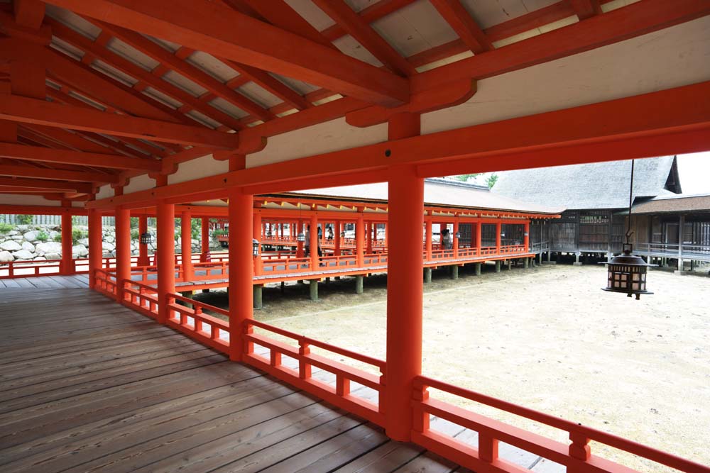Foto, materieel, vrij, landschap, schilderstuk, bevoorraden foto,Een corridor van Itsukushima-jinja Heiligdom, Wereldwijd cultureel heritage, Otorii, Shinto heiligdom, Ik ben cinnabar rood