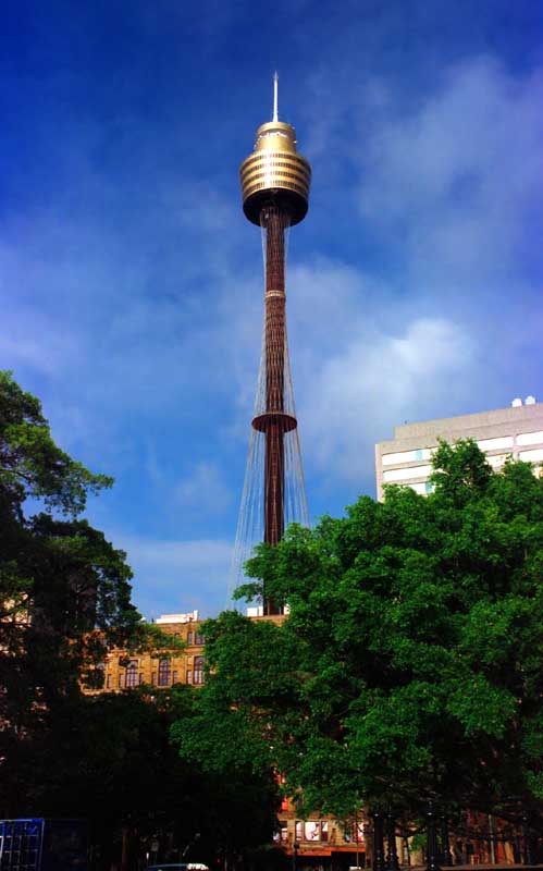 Foto, materiell, befreit, Landschaft, Bild, hat Foto auf Lager,Sydney-Turm, blauer Himmel, Turm, Baum, 