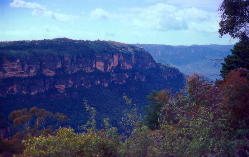 foto,tela,gratis,paisaje,fotografa,idea,Blue Mountain, Despeadero, Montaa, rbol, 