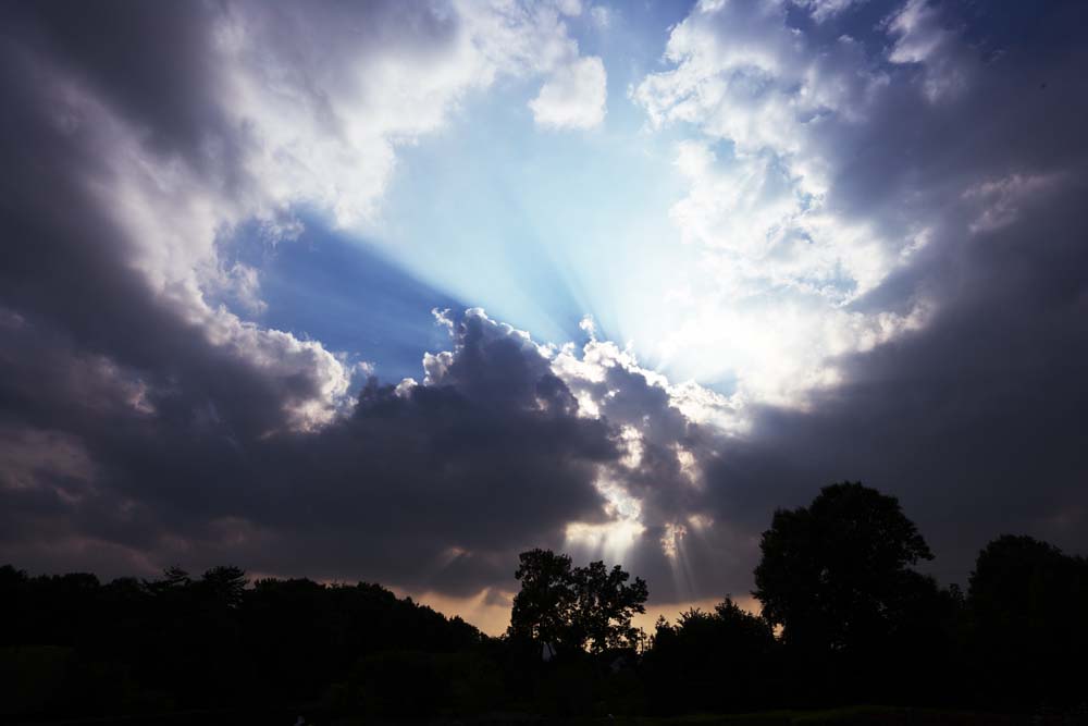 photo,material,free,landscape,picture,stock photo,Creative Commons,A voice from heaven, cloud, shaft of light, The sun, Brightness