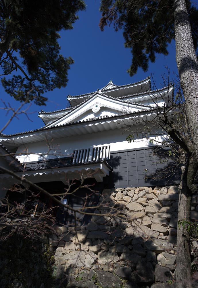 fotografia, materiale, libero il panorama, dipinga, fotografia di scorta,Okazaki arrocca, castello, tetto, Ieyasu Tokugawa, La storia