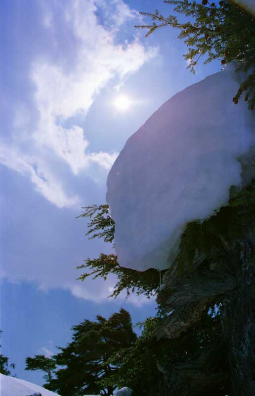 Foto, materieel, vrij, landschap, schilderstuk, bevoorraden foto,Zonnelicht sterkend, Sneeuw, Zon, Boom, 