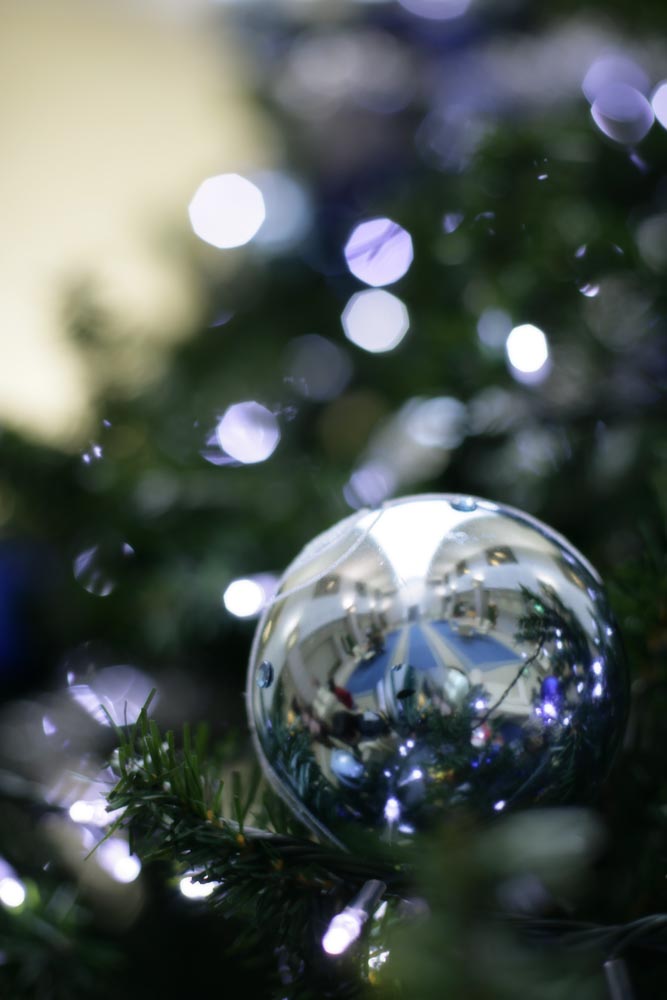 Foto, materiell, befreit, Landschaft, Bild, hat Foto auf Lager,Weihnachtszierde, X'mas, Weihnachten, , Weihnachtsbaum