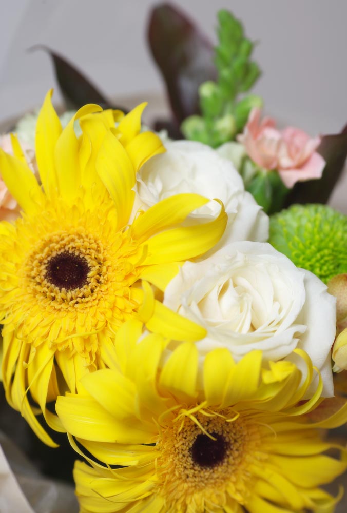 photo, la matire, libre, amnage, dcrivez, photo de la rserve,Le bouquet qui est un adulte, fleur, bouquet, La prsentation, Jaune