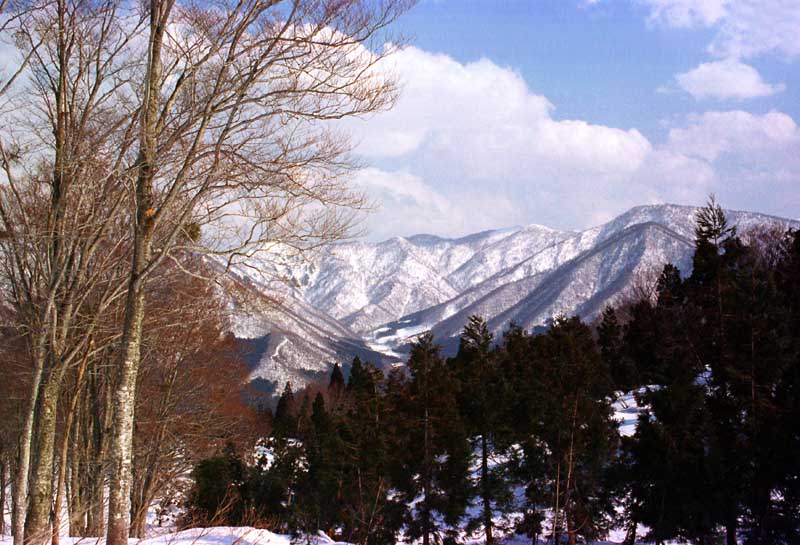 photo,material,free,landscape,picture,stock photo,Creative Commons,Snowy mountains in the afternoon, snow, mountain, tree, 