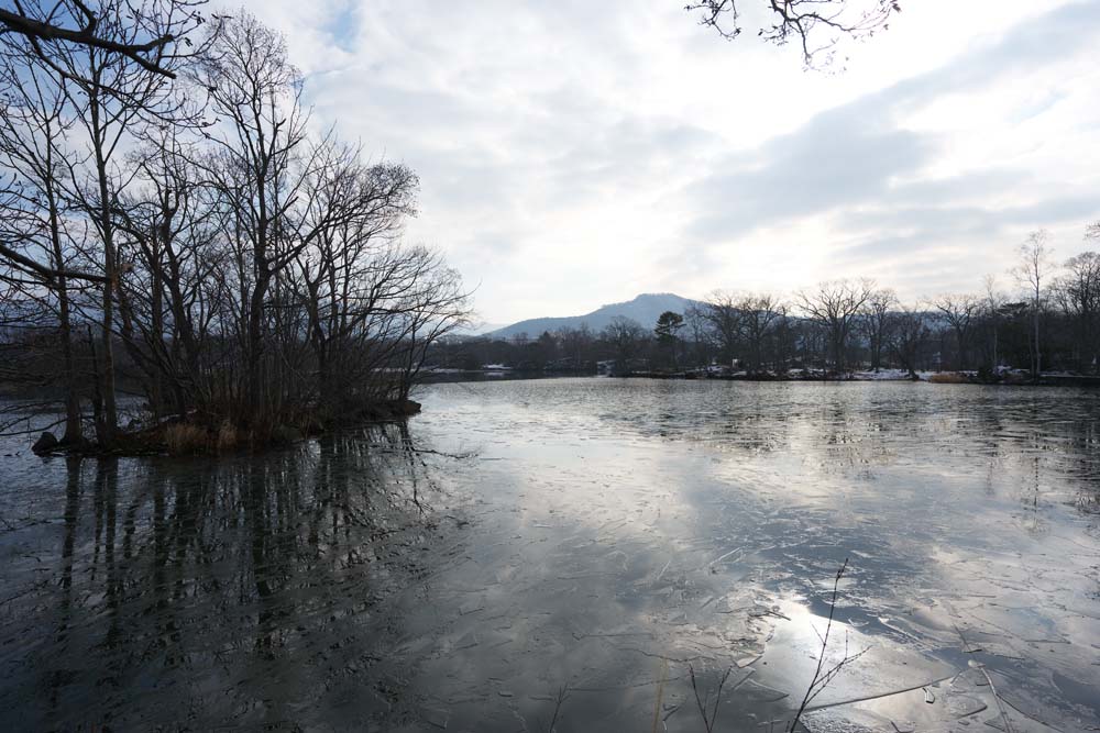 fotografia, materiale, libero il panorama, dipinga, fotografia di scorta,Scena di inverno di Onumakoen, albero, lago, Lago Onuma, Il sole