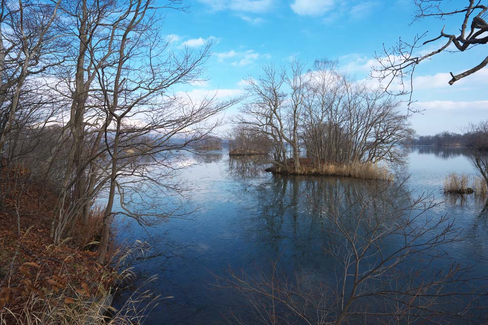 Foto, materieel, vrij, landschap, schilderstuk, bevoorraden foto,Onumakoen winter scne, Ijsje, Plas, Plas Onuma, Koud