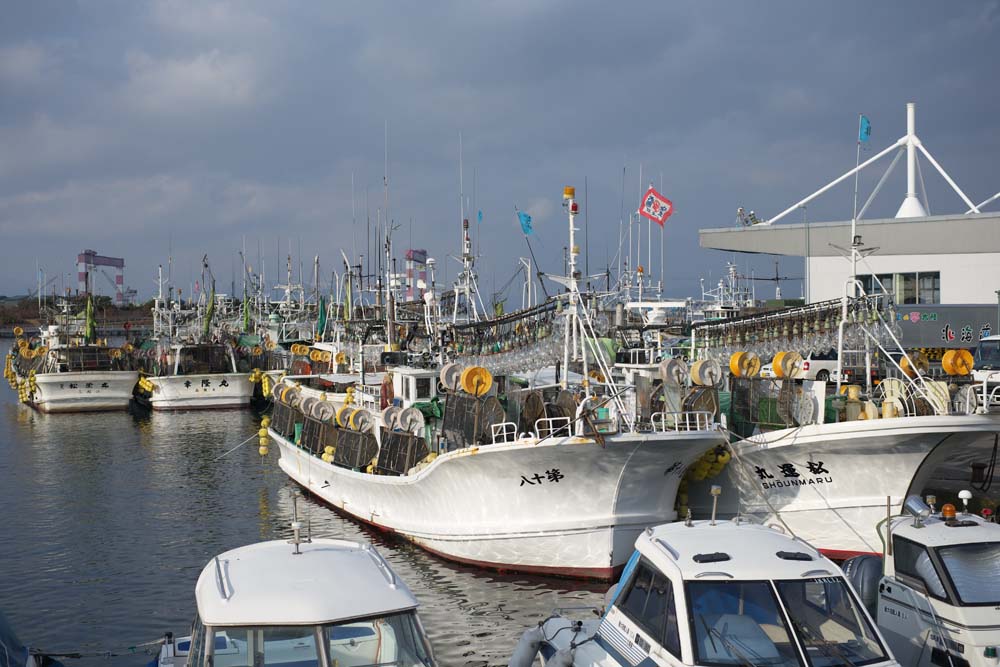 Foto, materiell, befreit, Landschaft, Bild, hat Foto auf Lager,Ein Tintenfischfischen Fischenboot, , Tintenfisch, Fischer, Fischereizone