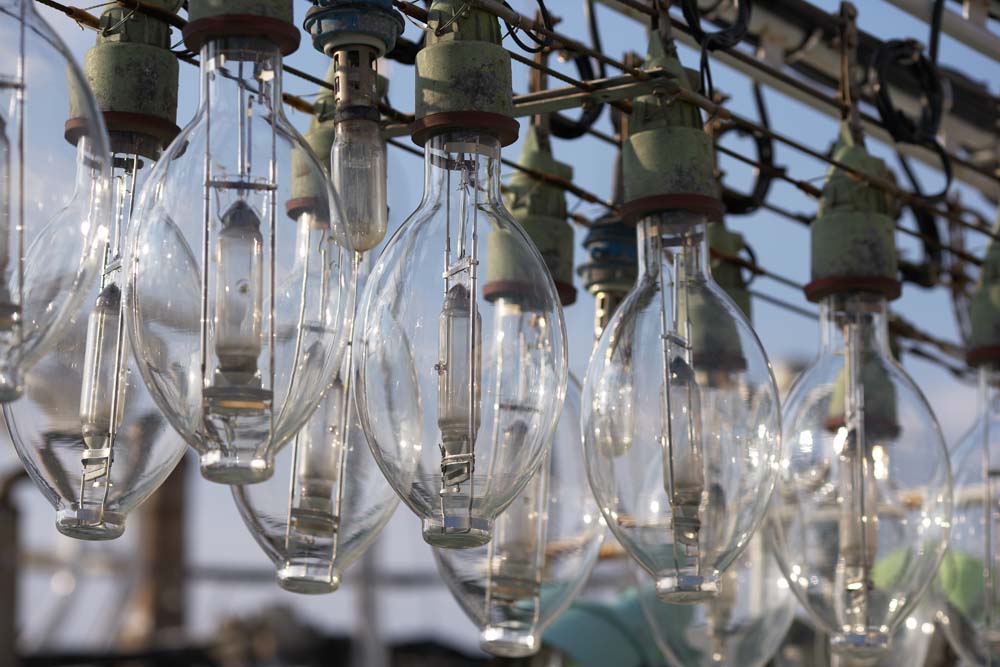 Foto, materiell, befreit, Landschaft, Bild, hat Foto auf Lager,Ein Tintenfischfischen elektrische Zwiebel, Licht, Lampe, Fischer, Eine elektrische Zwiebel